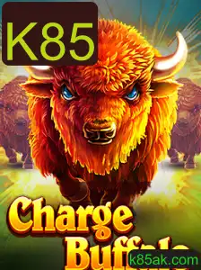 Explorando o Universo de ChargeBuffalo